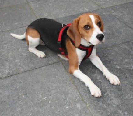 dit is "Jill"