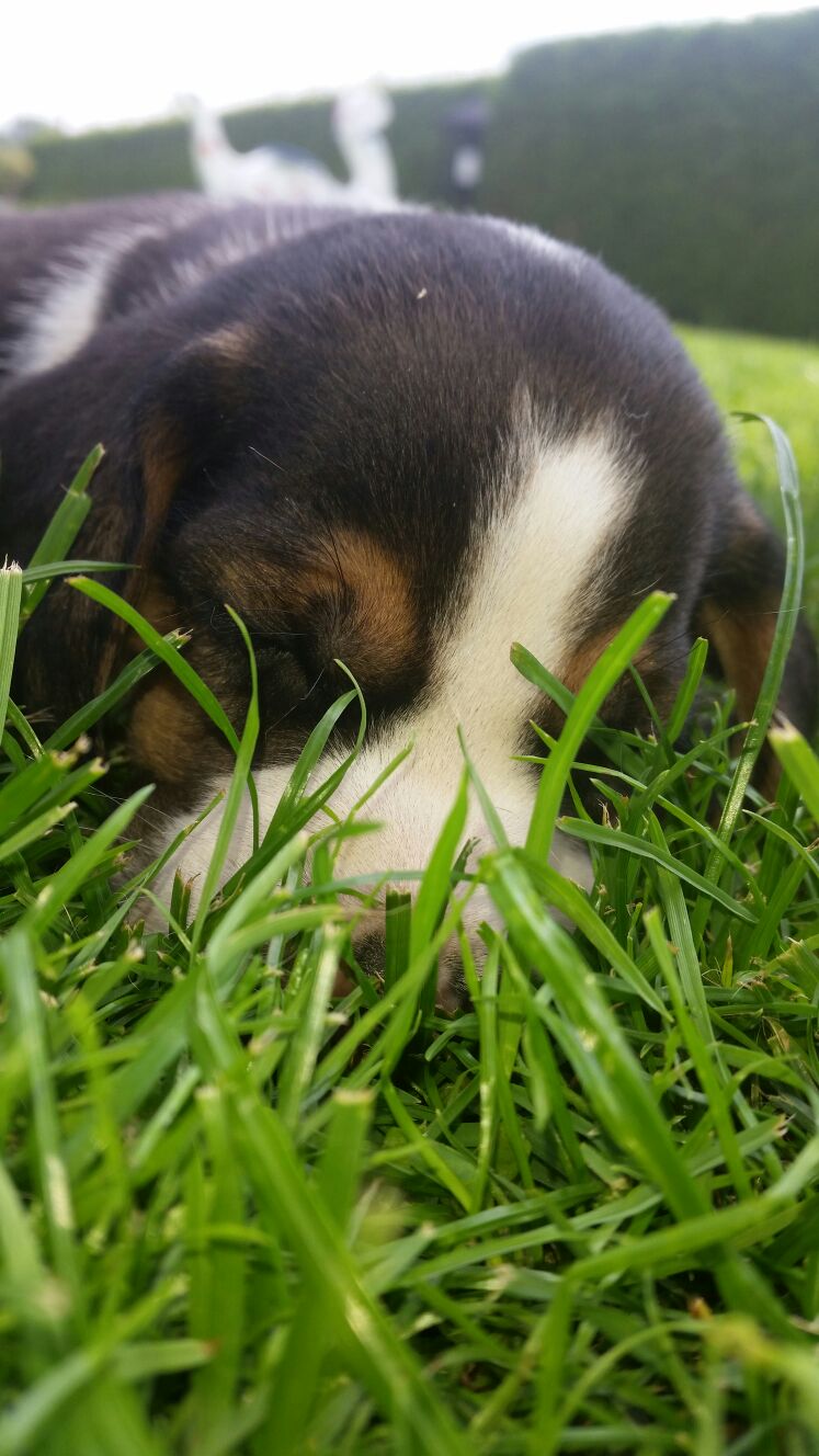 "Monty"
